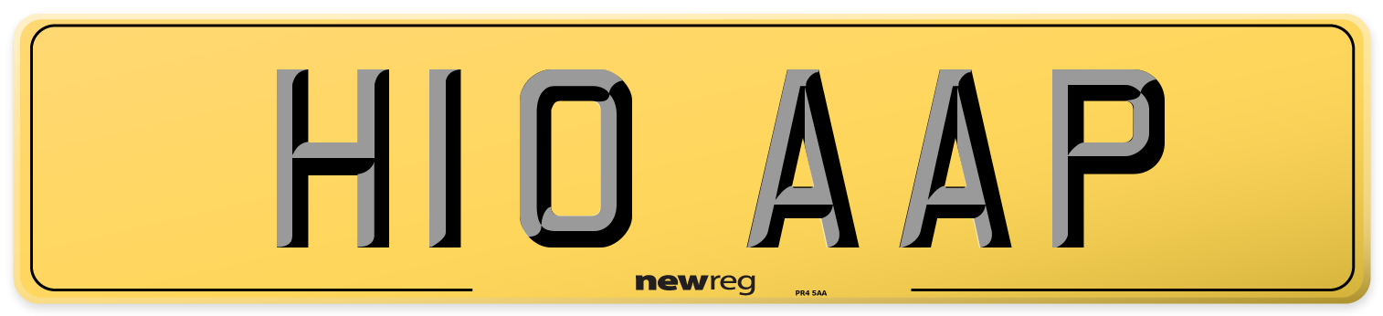 H10 AAP Rear Number Plate
