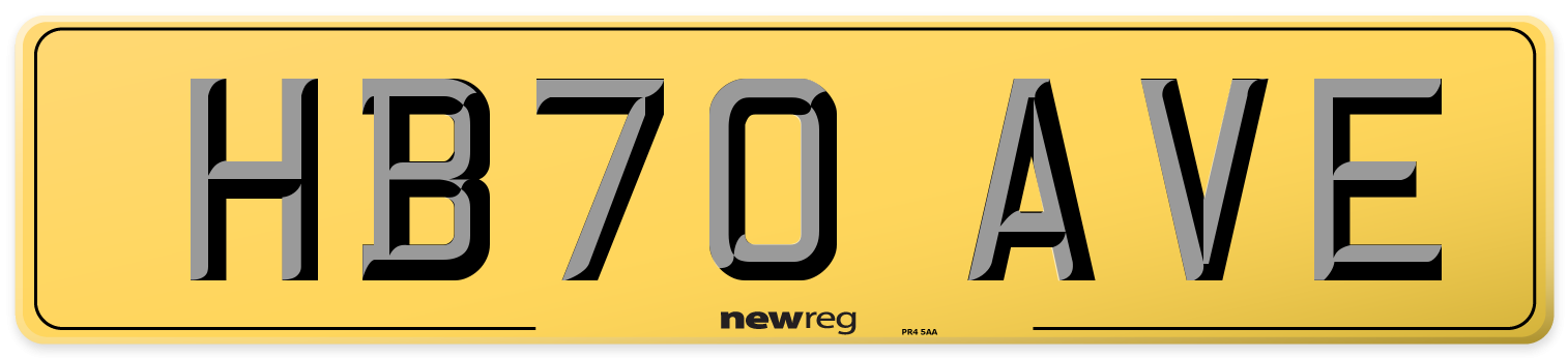 HB70 AVE Rear Number Plate