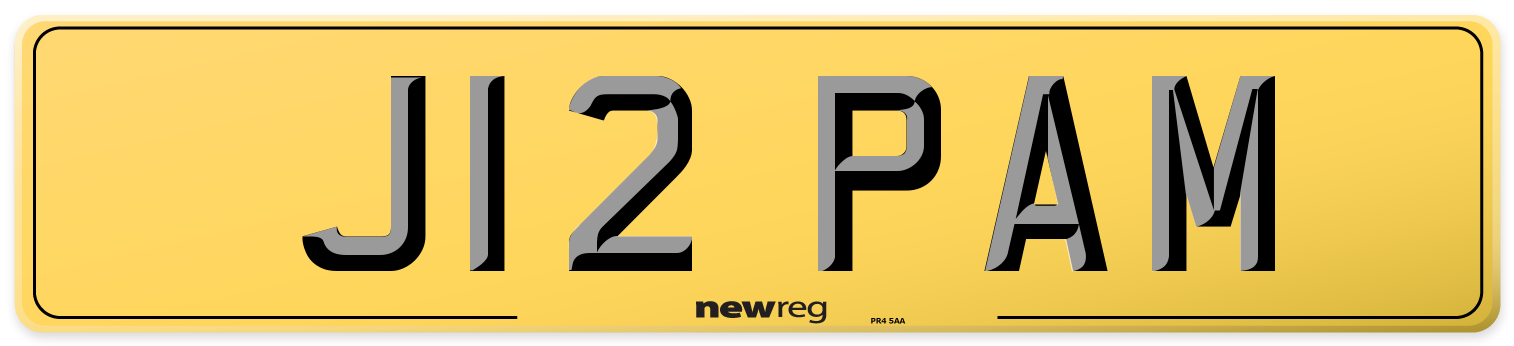 J12 PAM Rear Number Plate