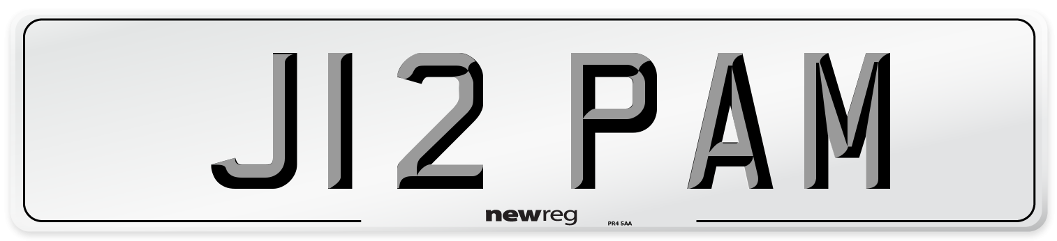 J12 PAM Front Number Plate