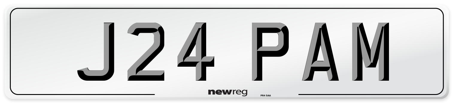 J24 PAM Front Number Plate