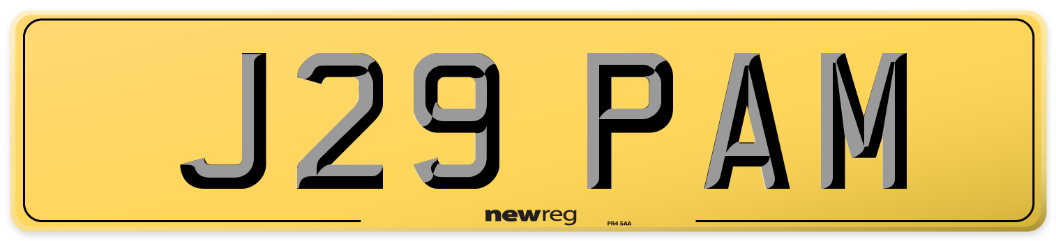 J29 PAM Rear Number Plate
