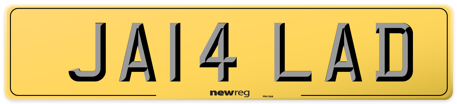 JA14 LAD Rear Number Plate