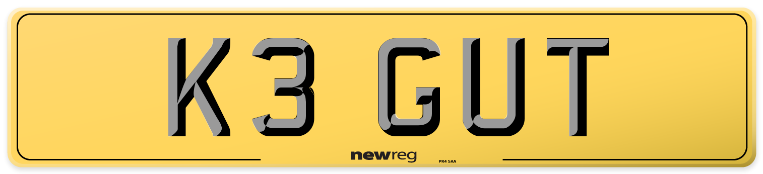K3 GUT Rear Number Plate