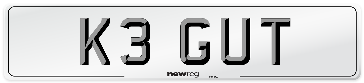 K3 GUT Front Number Plate