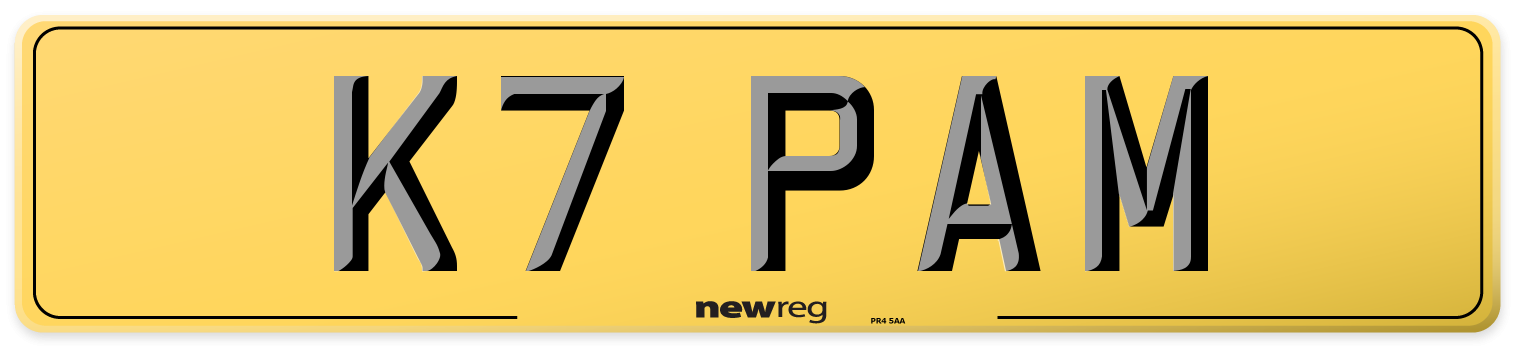 K7 PAM Rear Number Plate