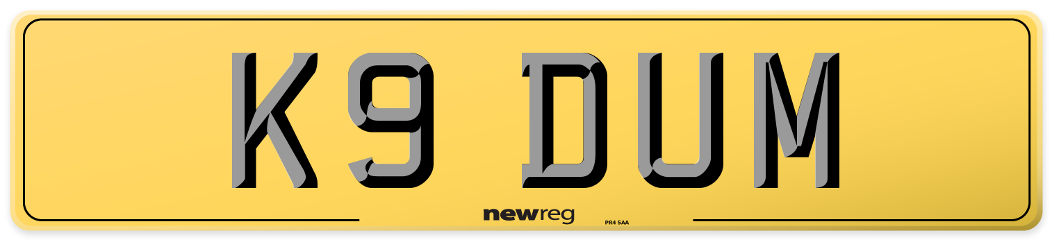 K9 DUM Rear Number Plate