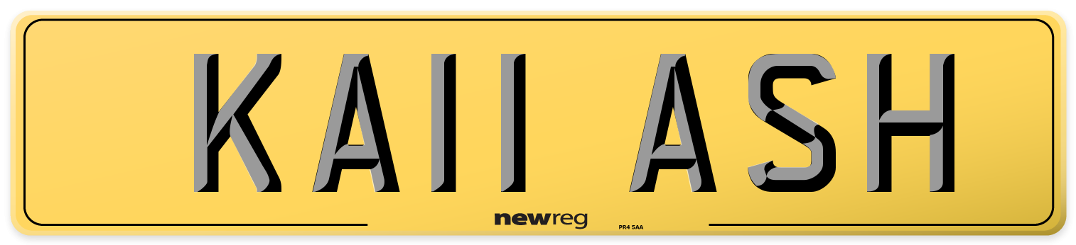 KA11 ASH Rear Number Plate