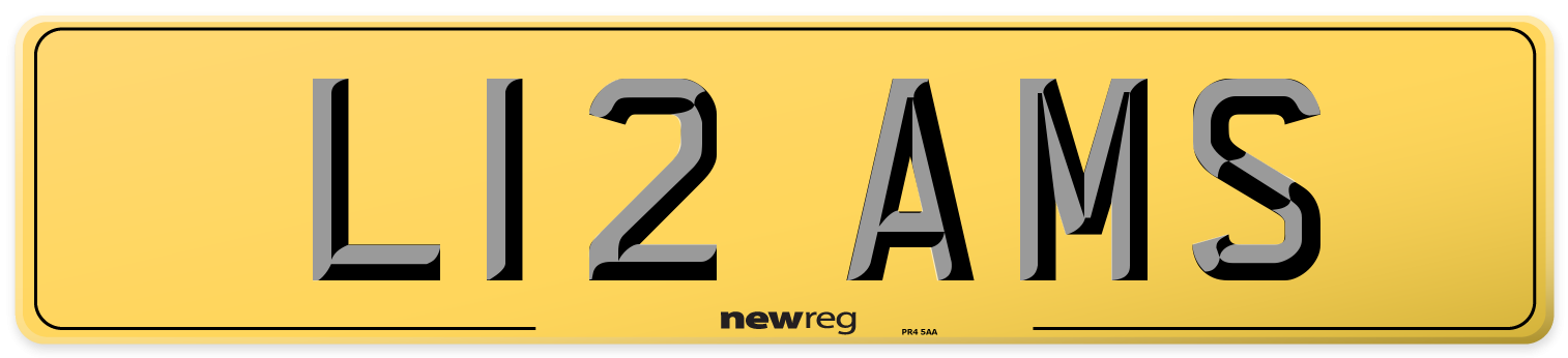 L12 AMS Rear Number Plate