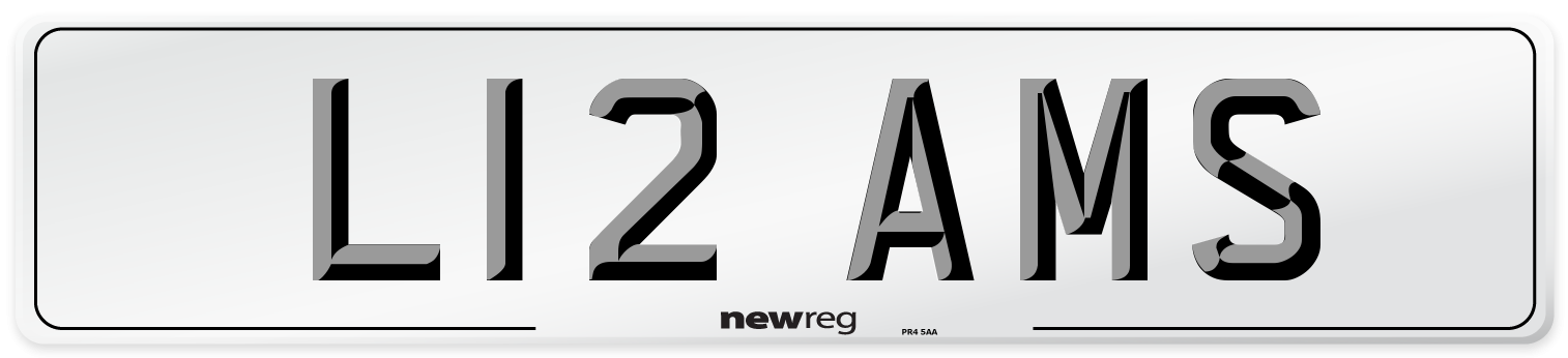 L12 AMS Front Number Plate