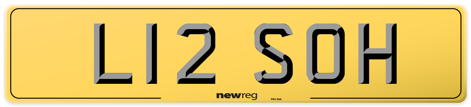 L12 SOH Rear Number Plate
