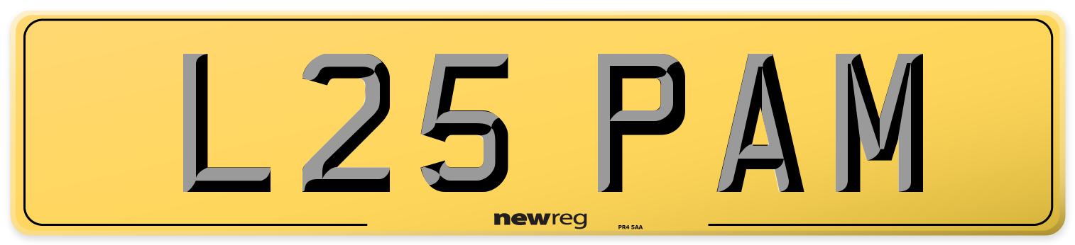L25 PAM Rear Number Plate