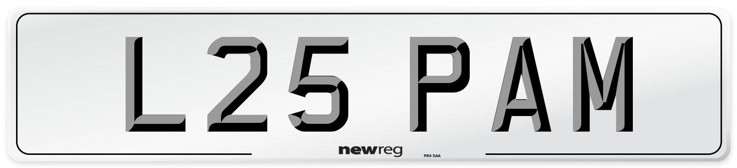 L25 PAM Front Number Plate