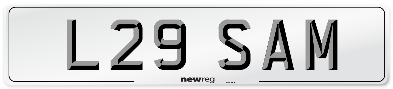 L29 SAM Front Number Plate