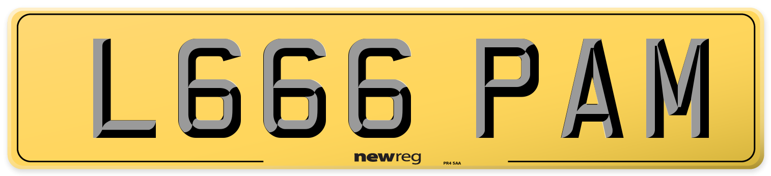 L666 PAM Rear Number Plate