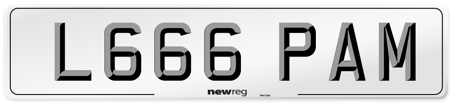 L666 PAM Front Number Plate