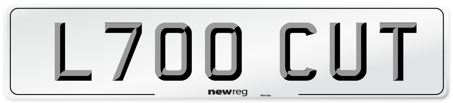 L700 CUT Front Number Plate