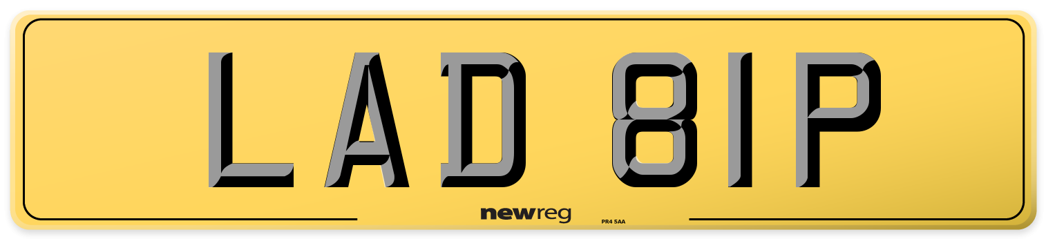 LAD 81P Rear Number Plate