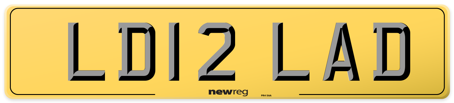 LD12 LAD Rear Number Plate
