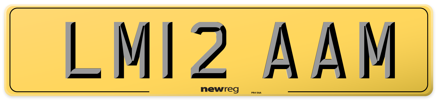 LM12 AAM Rear Number Plate