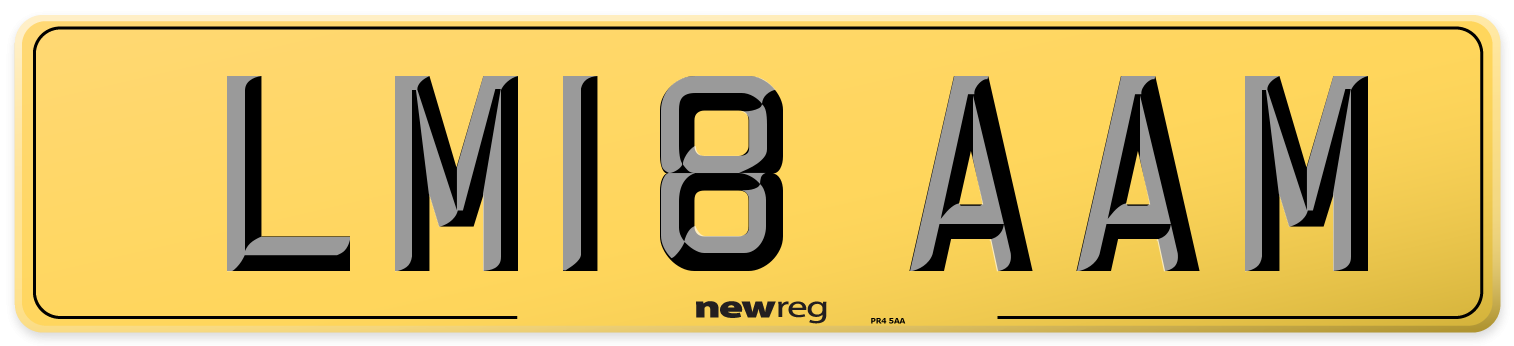 LM18 AAM Rear Number Plate