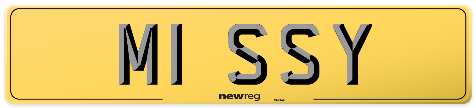 M1 SSY Rear Number Plate