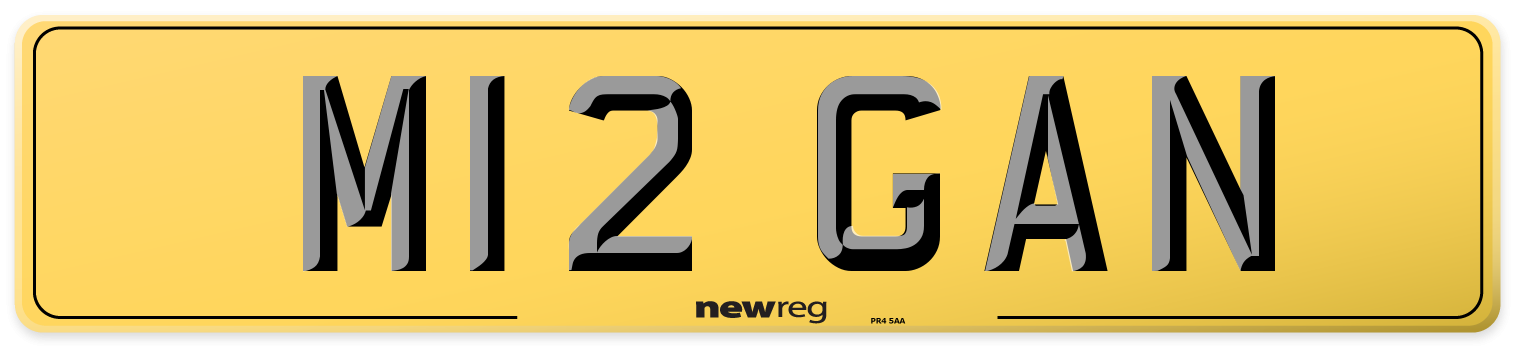 M12 GAN Rear Number Plate