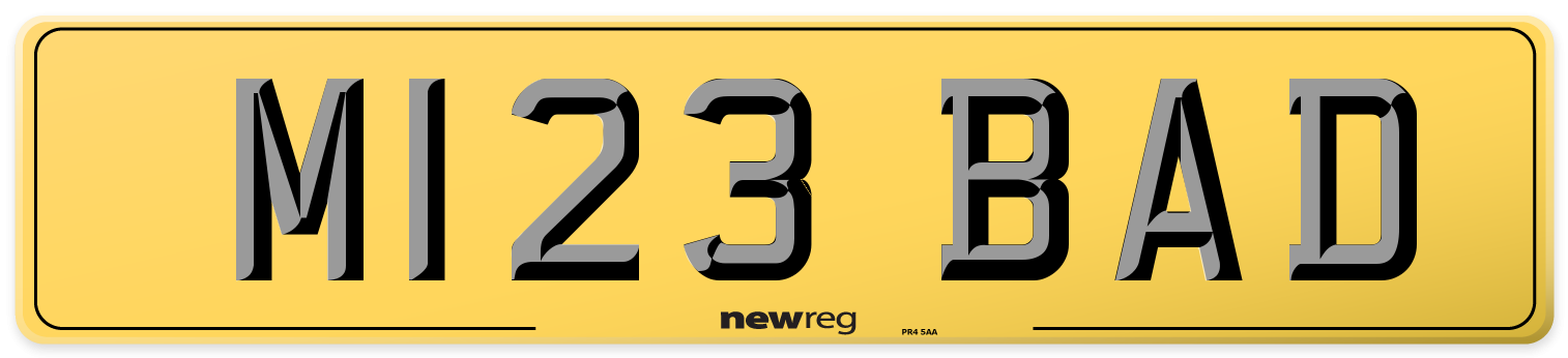 M123 BAD Rear Number Plate