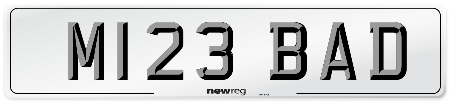M123 BAD Front Number Plate