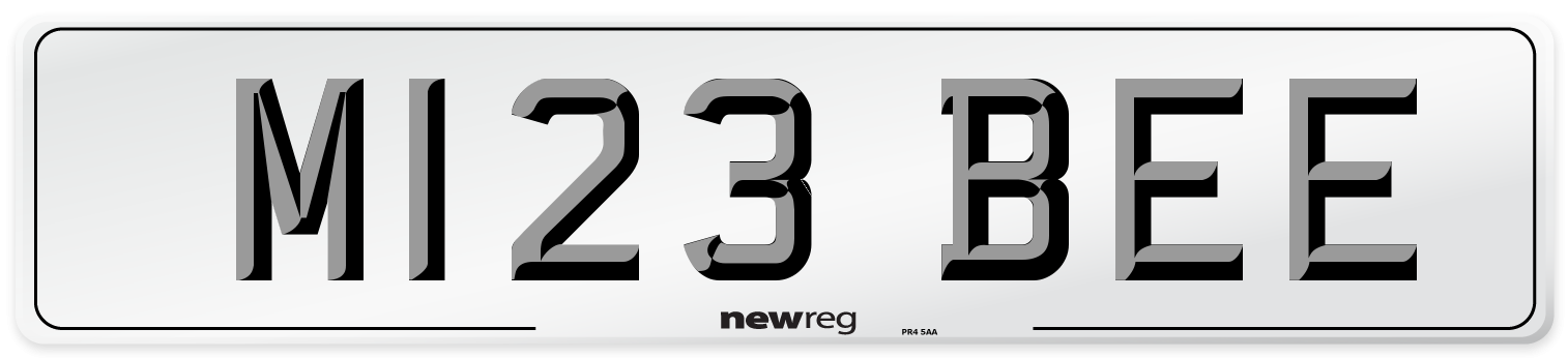 M123 BEE Front Number Plate