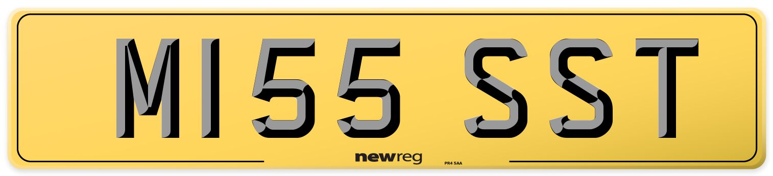 M155 SST Rear Number Plate
