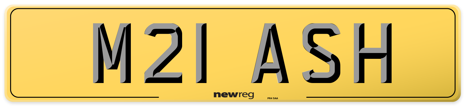 M21 ASH Rear Number Plate