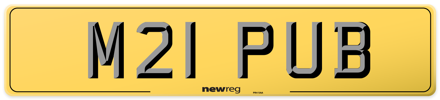 M21 PUB Rear Number Plate