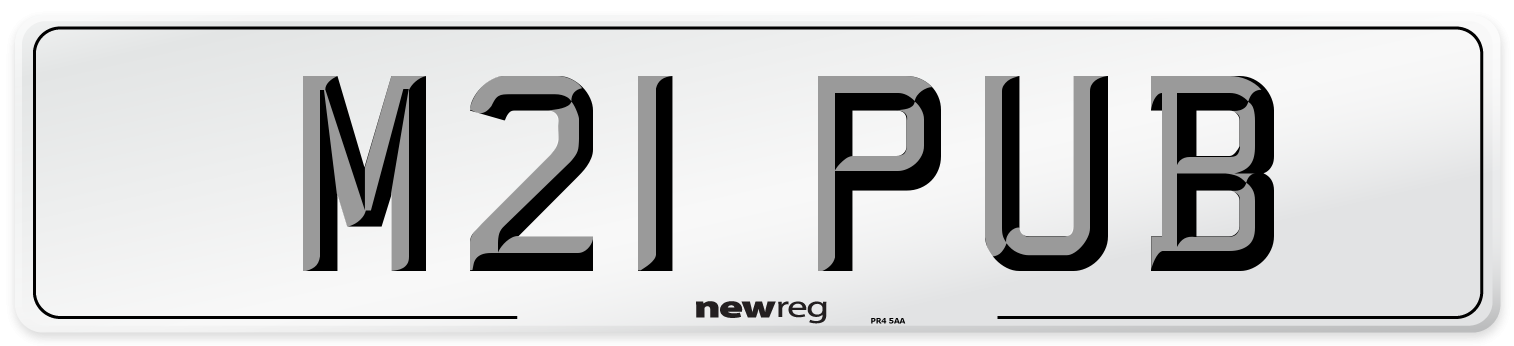 M21 PUB Front Number Plate