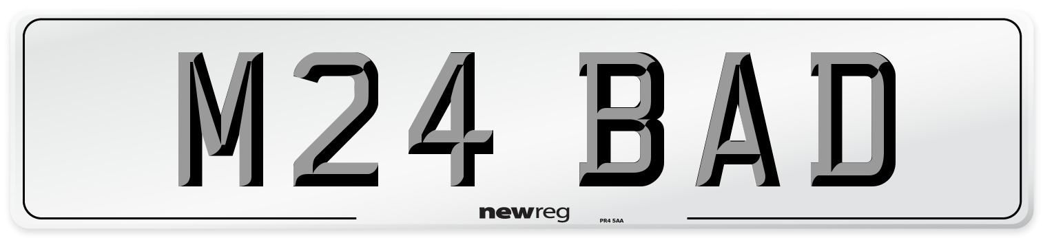 M24 BAD Front Number Plate