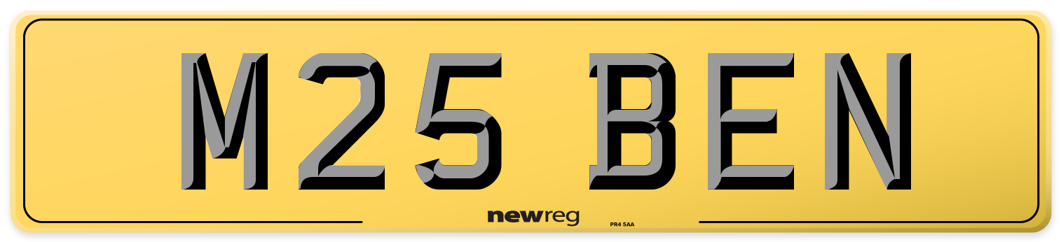 M25 BEN Rear Number Plate