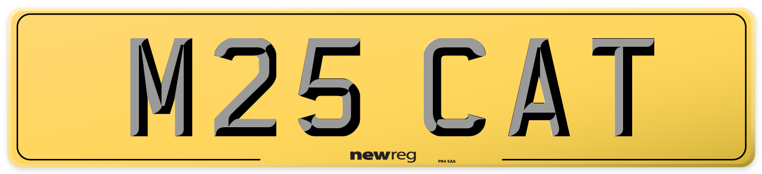 M25 CAT Rear Number Plate