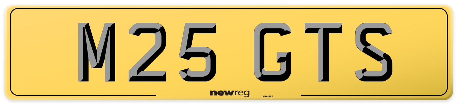 M25 GTS Rear Number Plate