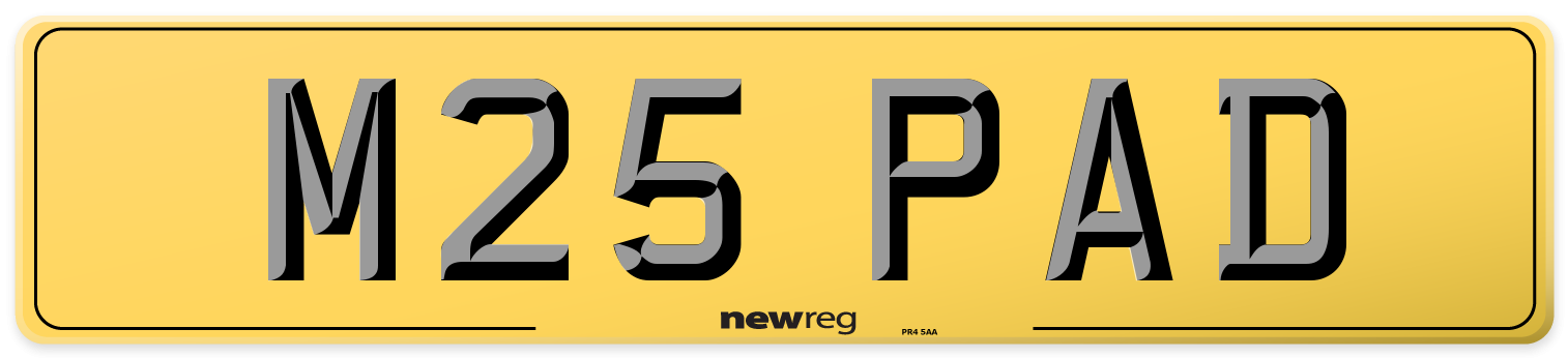 M25 PAD Rear Number Plate