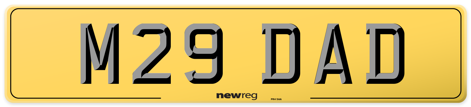 M29 DAD Rear Number Plate