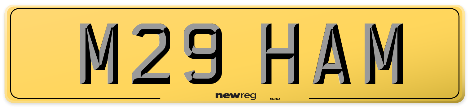 M29 HAM Rear Number Plate