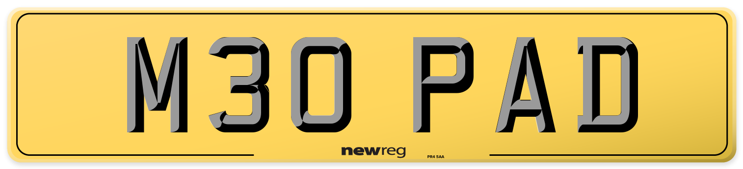 M30 PAD Rear Number Plate