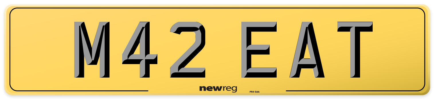 M42 EAT Rear Number Plate