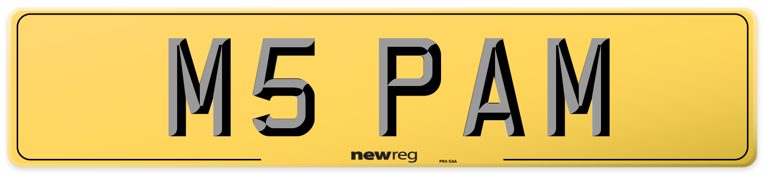 M5 PAM Rear Number Plate