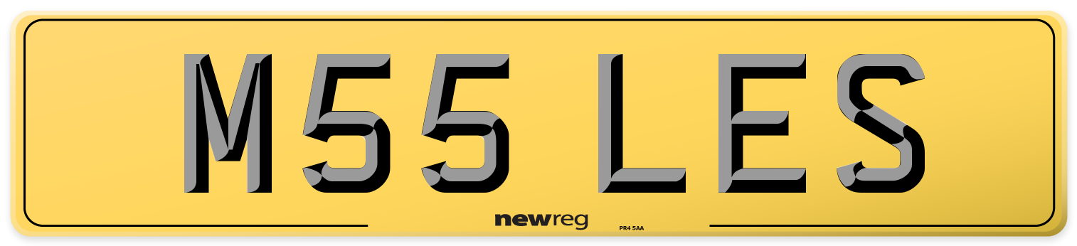 M55 LES Rear Number Plate