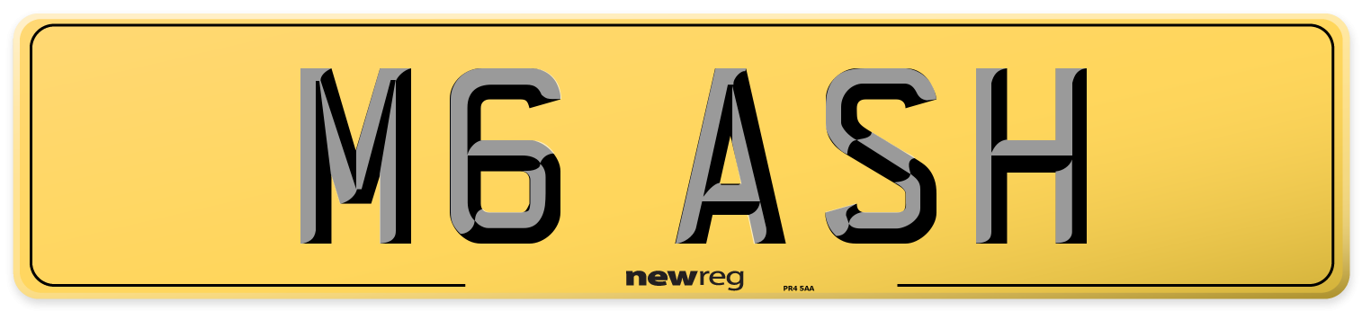 M6 ASH Rear Number Plate