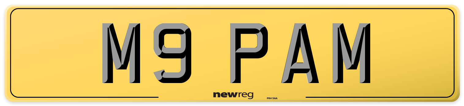 M9 PAM Rear Number Plate