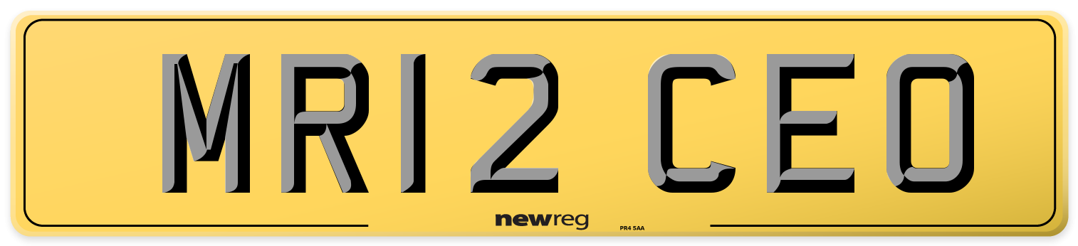 MR12 CEO Rear Number Plate