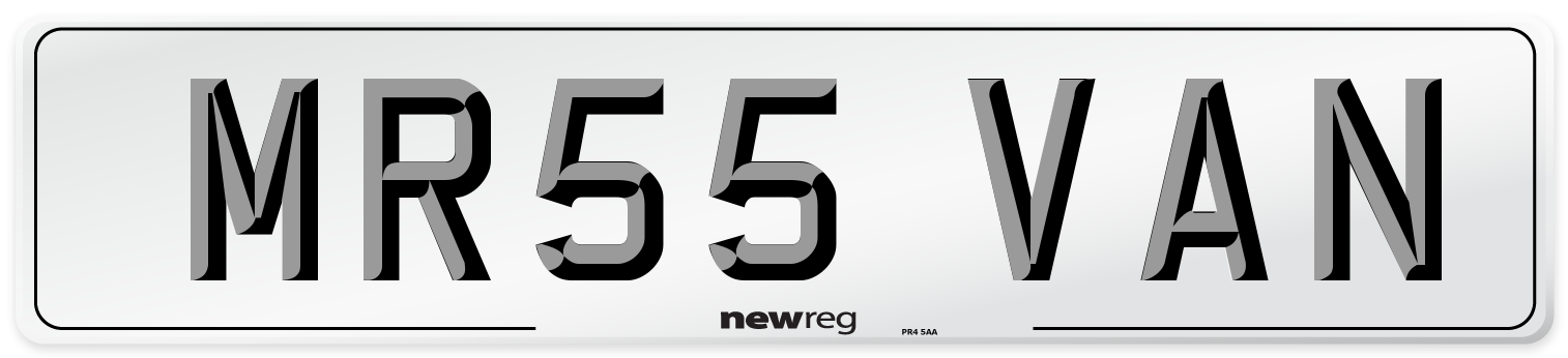 MR55 VAN Front Number Plate