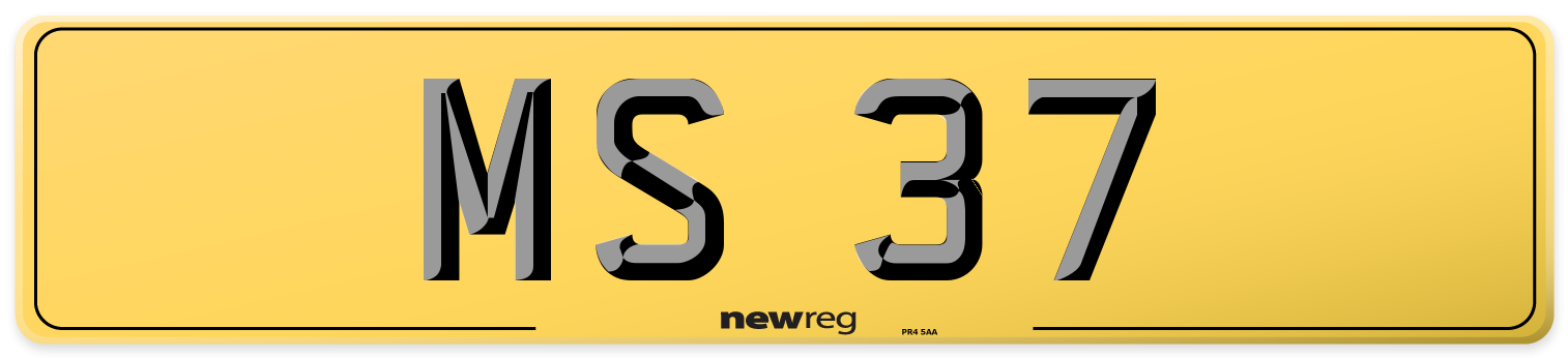 MS 37 Rear Number Plate